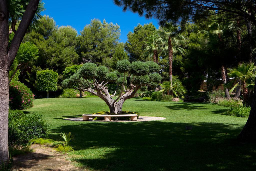 Jardines De Amaltea Otel Lorca  Dış mekan fotoğraf