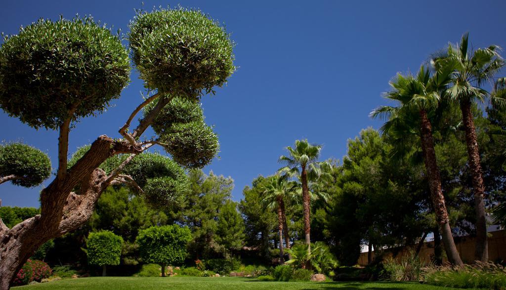 Jardines De Amaltea Otel Lorca  Dış mekan fotoğraf