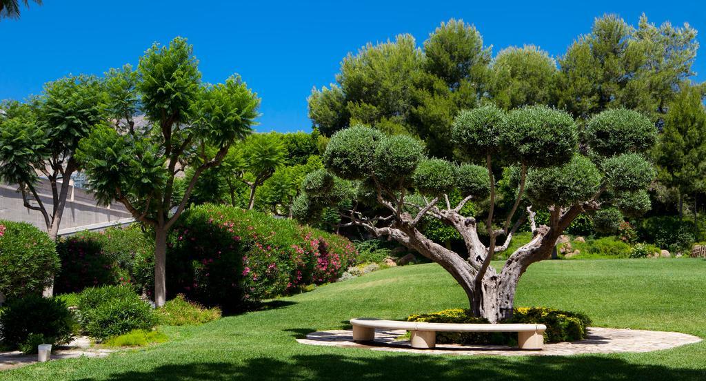 Jardines De Amaltea Otel Lorca  Dış mekan fotoğraf